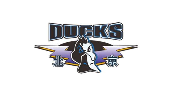 首钢男篮新赛季主场布局初定 五棵松有望再迎CBA赛事